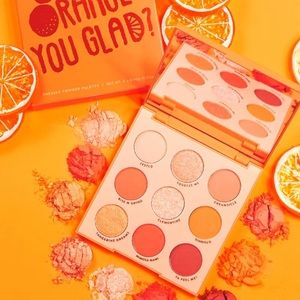 🆕Orange You Glad Palette🆕